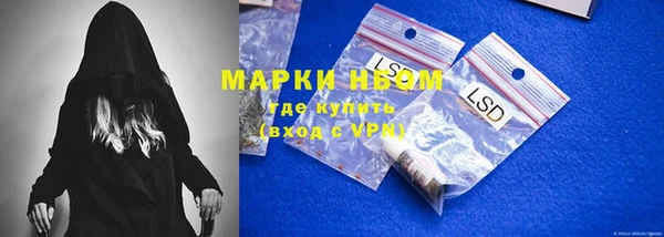 мет Алексин