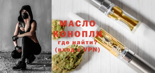 мет Алексин