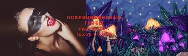 ГАЛЛЮЦИНОГЕННЫЕ ГРИБЫ Алзамай
