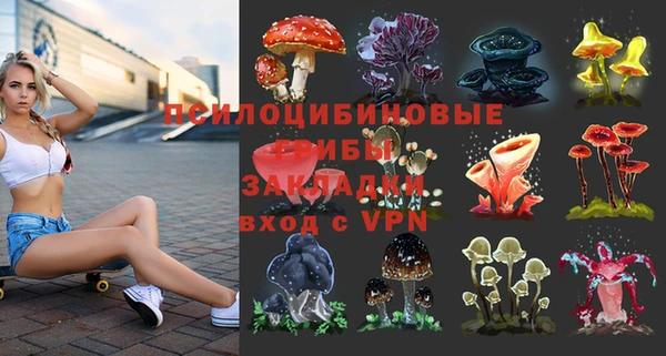 дурь Алексеевка