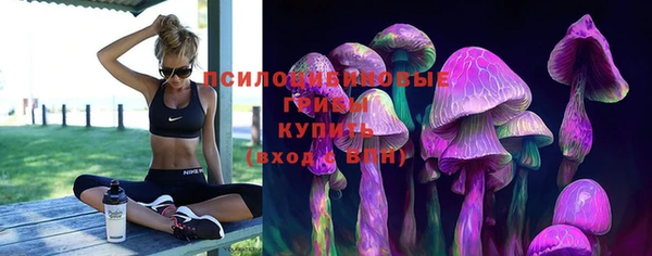 мет Алексин