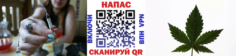 Канабис White Widow  магазин продажи наркотиков  Алушта 